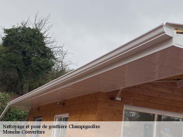 nettoyage-et-pose-de-gouttiere