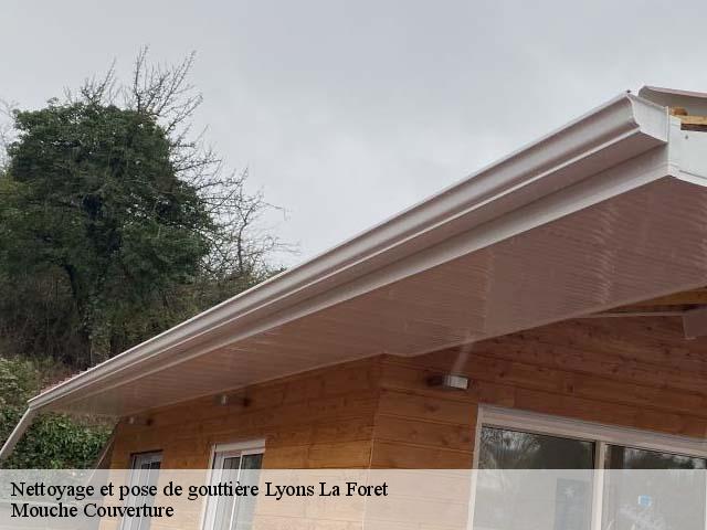 nettoyage-et-pose-de-gouttiere