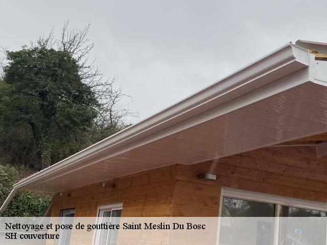 Nettoyage et pose de gouttière  saint-meslin-du-bosc-27370 SH couverture