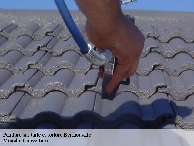 peinture-sur-tuile-et-toiture