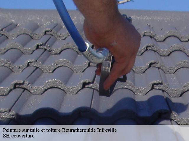 Peinture sur tuile et toiture  bourgtheroulde-infreville-27520 SH couverture