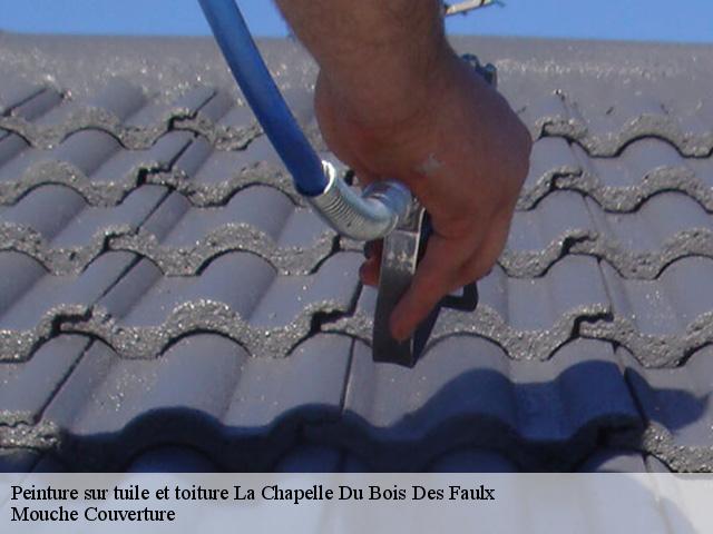 peinture-sur-tuile-et-toiture