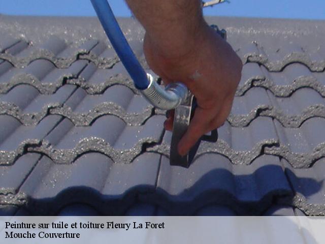 peinture-sur-tuile-et-toiture