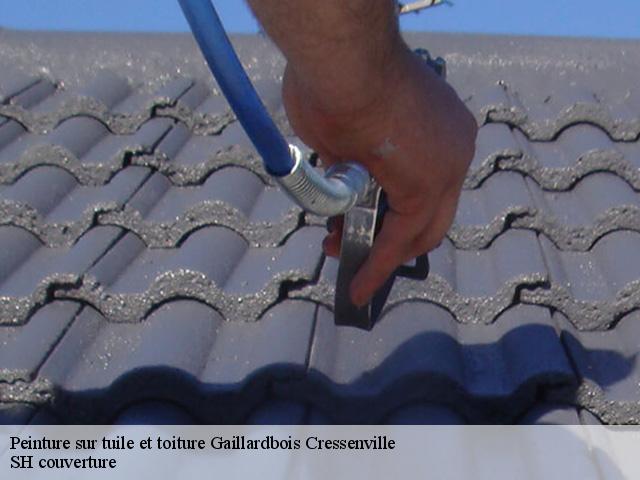Peinture sur tuile et toiture  gaillardbois-cressenville-27440 SH couverture
