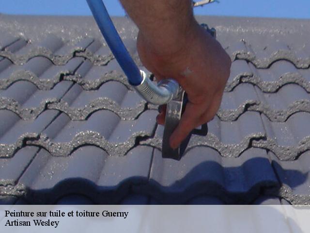 Peinture sur tuile et toiture  guerny-27720 Artisan Wesley