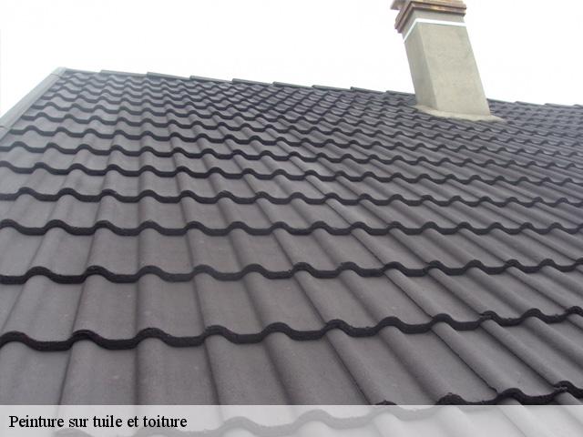 peinture-sur-tuile-et-toiture