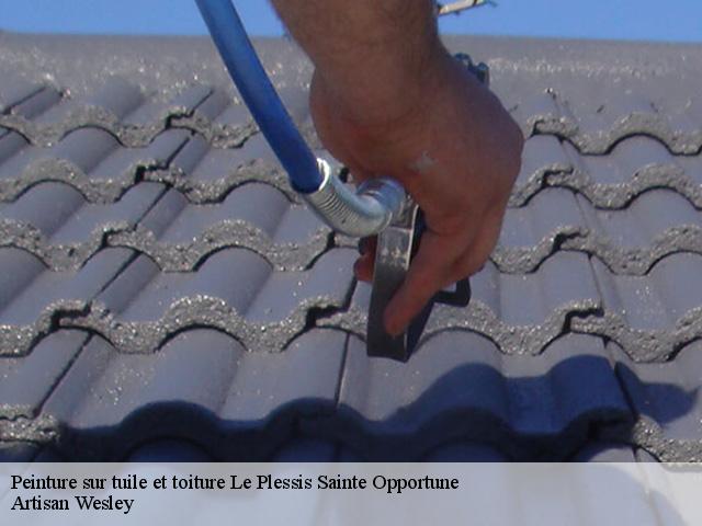 Peinture sur tuile et toiture  le-plessis-sainte-opportune-27170 Artisan Wesley