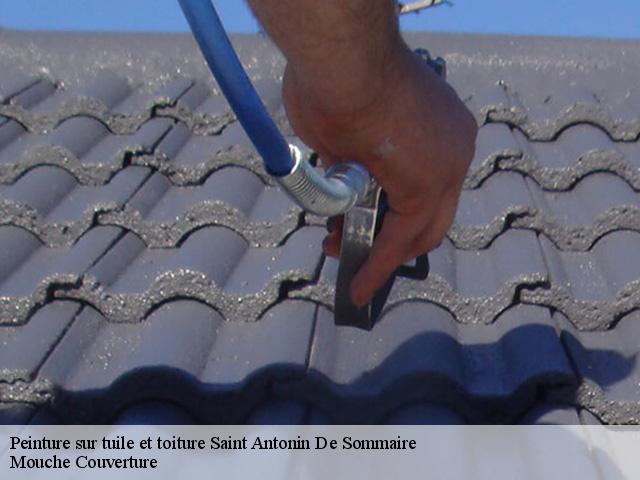 peinture-sur-tuile-et-toiture