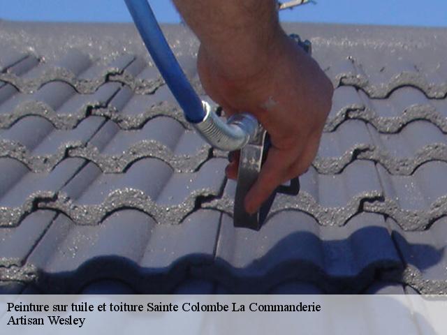 Peinture sur tuile et toiture  sainte-colombe-la-commanderie-27110 Artisan Wesley