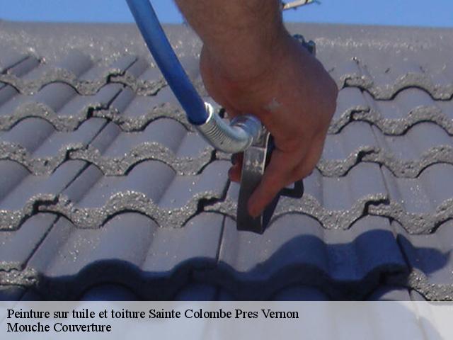peinture-sur-tuile-et-toiture