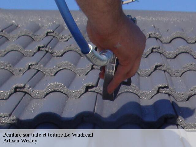 Peinture sur tuile et toiture  le-vaudreuil-27100 Artisan Wesley