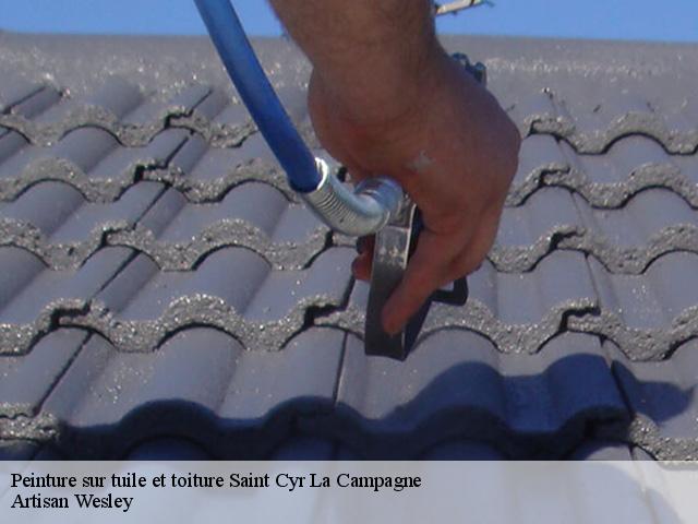 Peinture sur tuile et toiture  saint-cyr-la-campagne-27370 Artisan Wesley