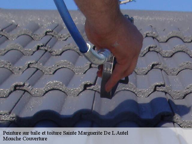 peinture-sur-tuile-et-toiture