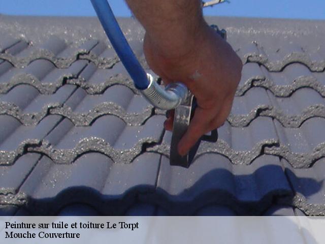 peinture-sur-tuile-et-toiture
