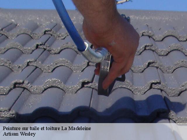 Peinture sur tuile et toiture  la-madeleine-27000 SH couverture