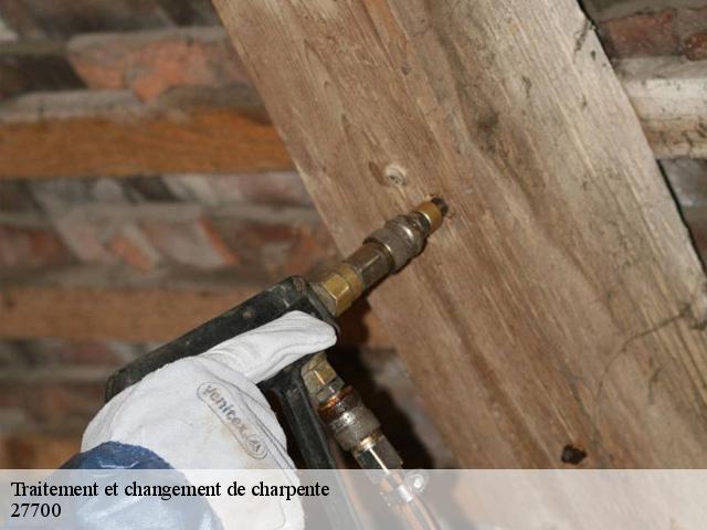 Traitement et changement de charpente  27700