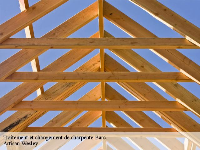 Traitement et changement de charpente  barc-27170 SH couverture