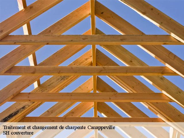 Traitement et changement de charpente  canappeville-27400 SH couverture