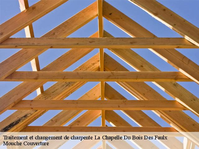 traitement-et-changement-de-charpente