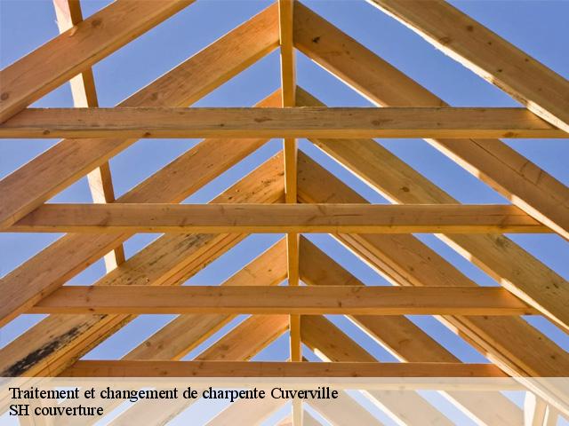 Traitement et changement de charpente  cuverville-27700 SH couverture