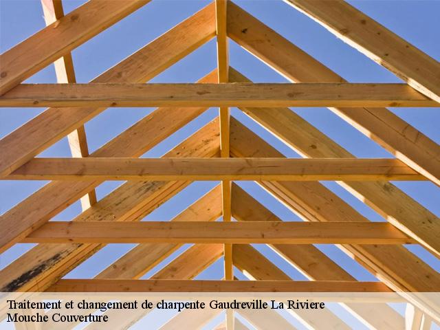 traitement-et-changement-de-charpente