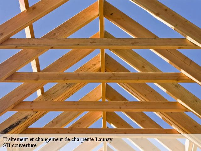 Traitement et changement de charpente  launay-27470 SH couverture