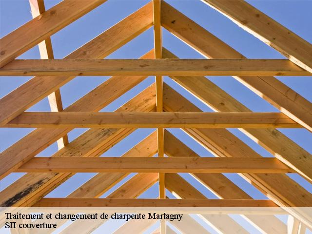 Traitement et changement de charpente  martagny-27150 SH couverture
