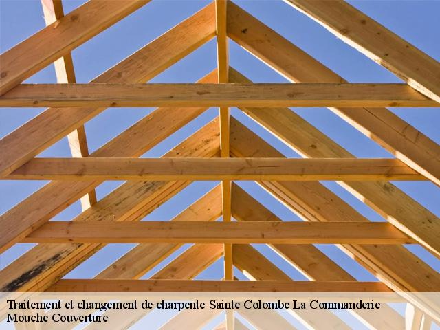 traitement-et-changement-de-charpente