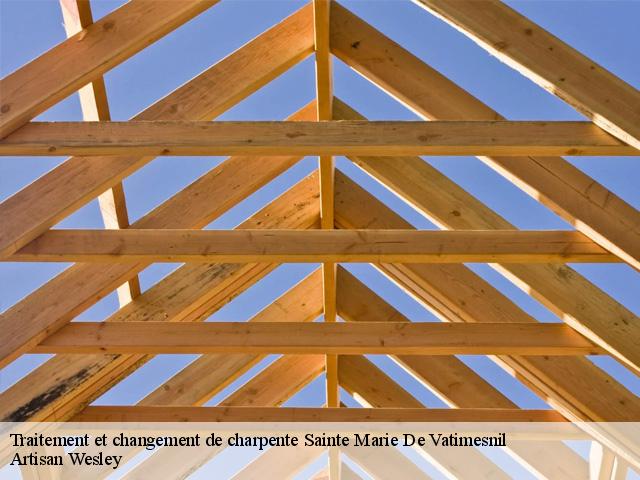 Traitement et changement de charpente  sainte-marie-de-vatimesnil-27150 SH couverture