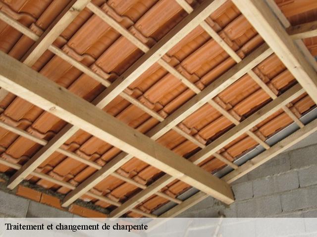 traitement-et-changement-de-charpente