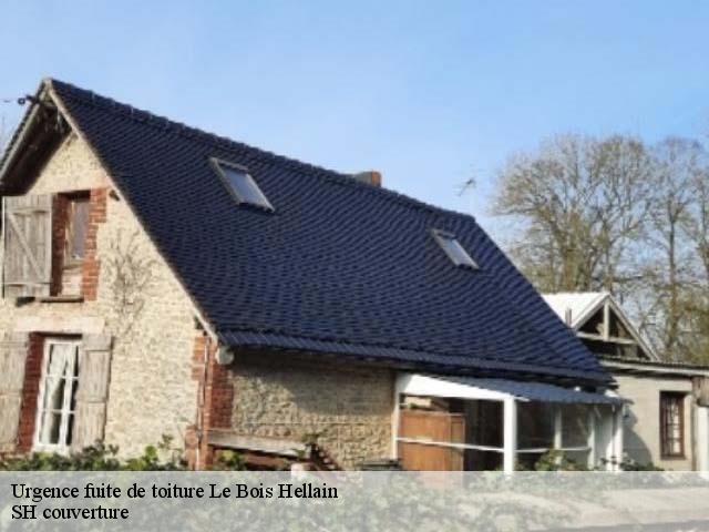 Urgence fuite de toiture  le-bois-hellain-27260 SH couverture