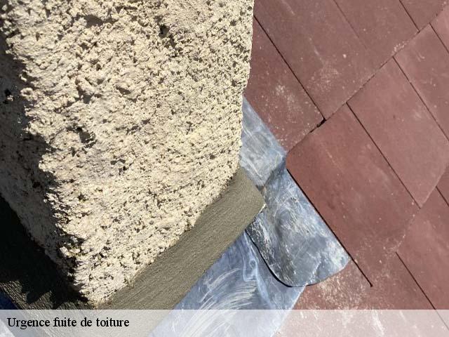 urgence-fuite-de-toiture