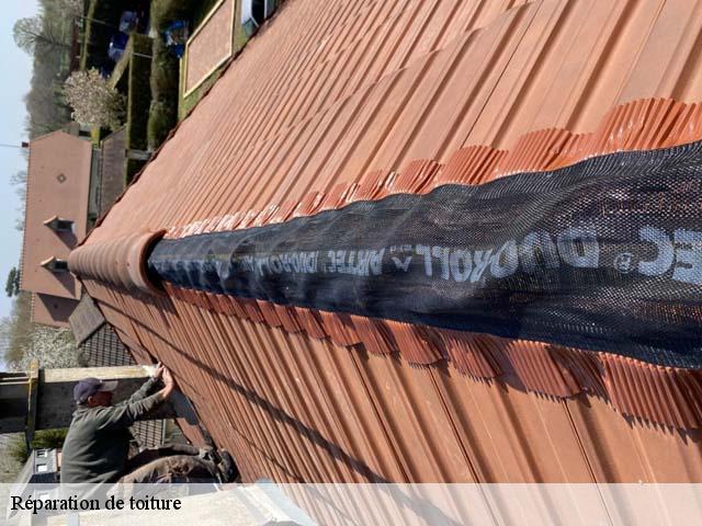 reparation-de-toiture